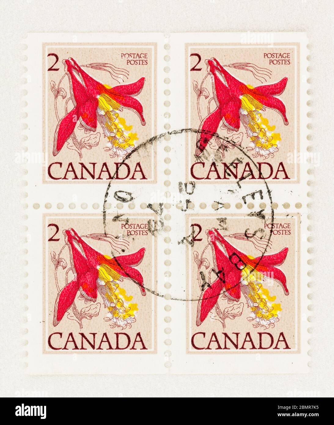 SEATTLE WASHINGTON - May 10, 2020:  Western columbine flowers on 2 cent Canadian Floral Definitive Issue  of 1978. Scott # 782b Stock Photo