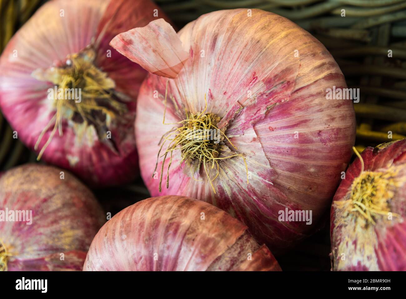 Close up food photo of organic red onions at the farmers market stall. Stock Photo