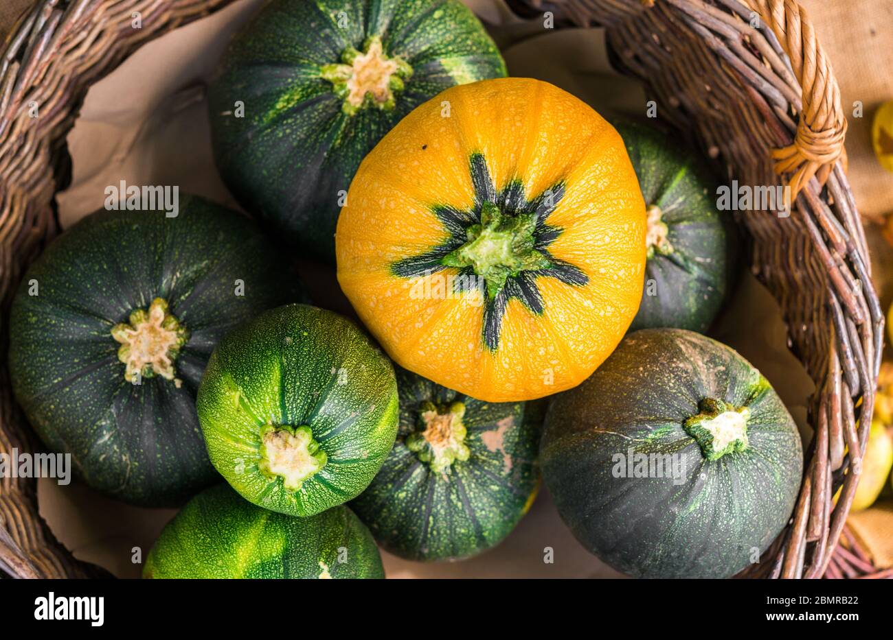 Close up food photo of round zucchinis at the farmers market stall. Stock Photo