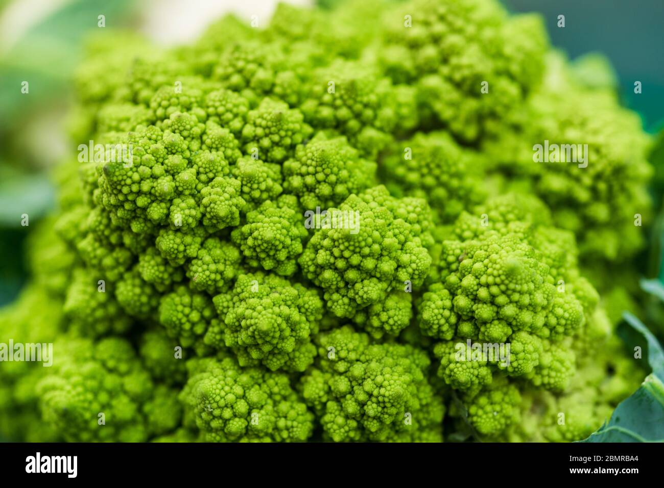 Macro food photo of organic romanesco broccoli at the farmers market stall. Stock Photo