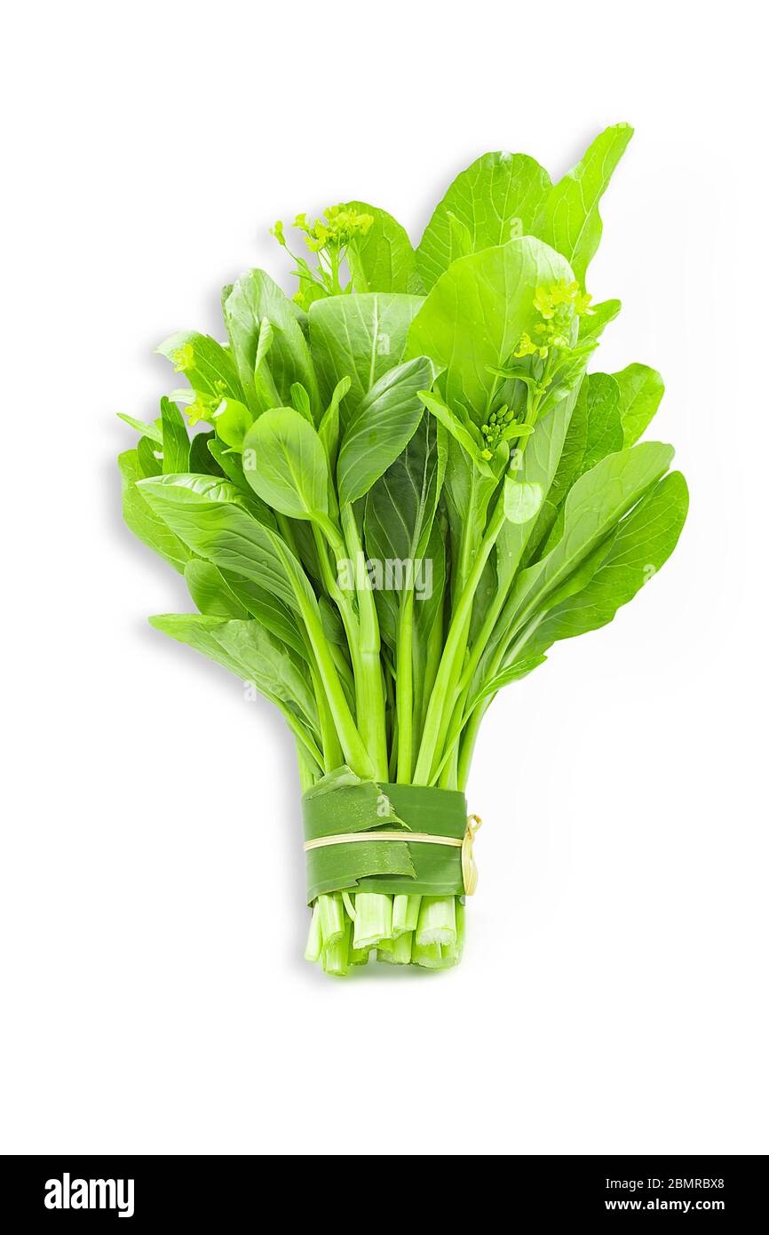 Fresh organic green choy sum or bok choy on white isolated background with clipping path in vertical. Choy sum is popular vegetable in asian for cooki Stock Photo