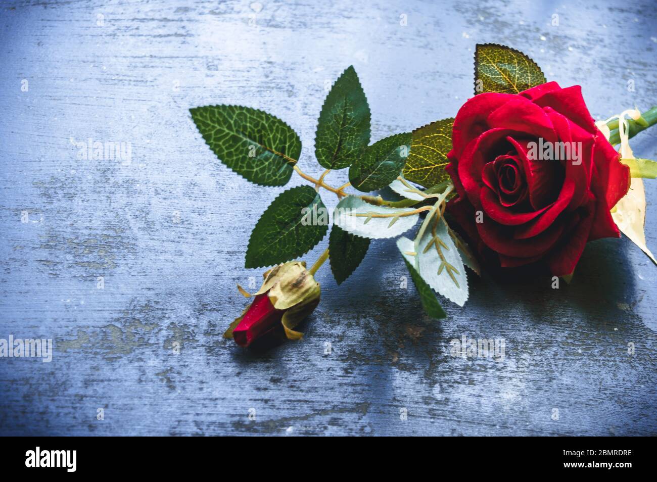 Red rose flower on rustic floor. Nature still life love romantic background  theme. Wallpaper web banner design decoration for friendship and valentine  Stock Photo - Alamy