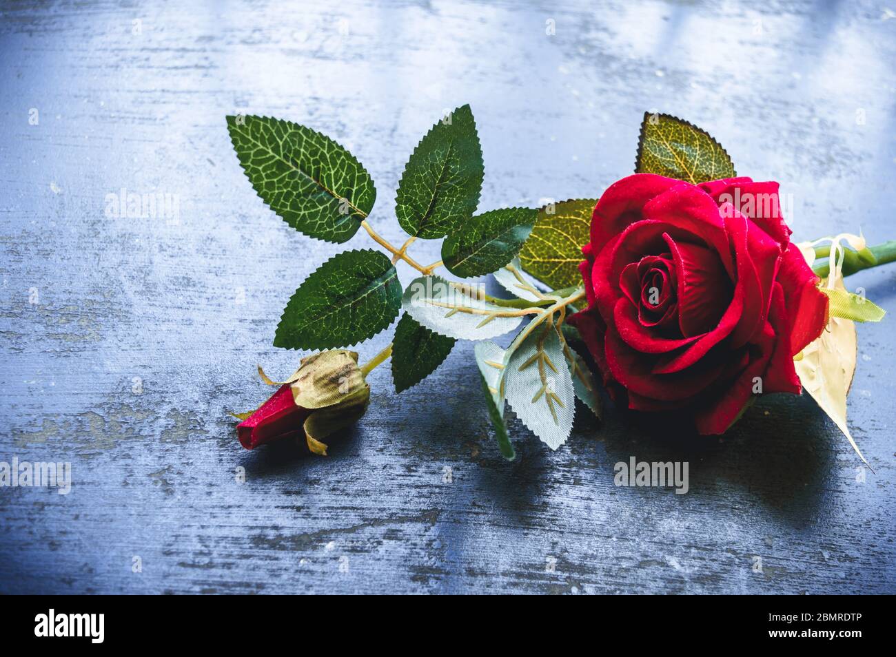 Red rose flower on rustic floor. Nature still life love romantic background  theme. Wallpaper web banner design decoration for friendship and valentine  Stock Photo - Alamy
