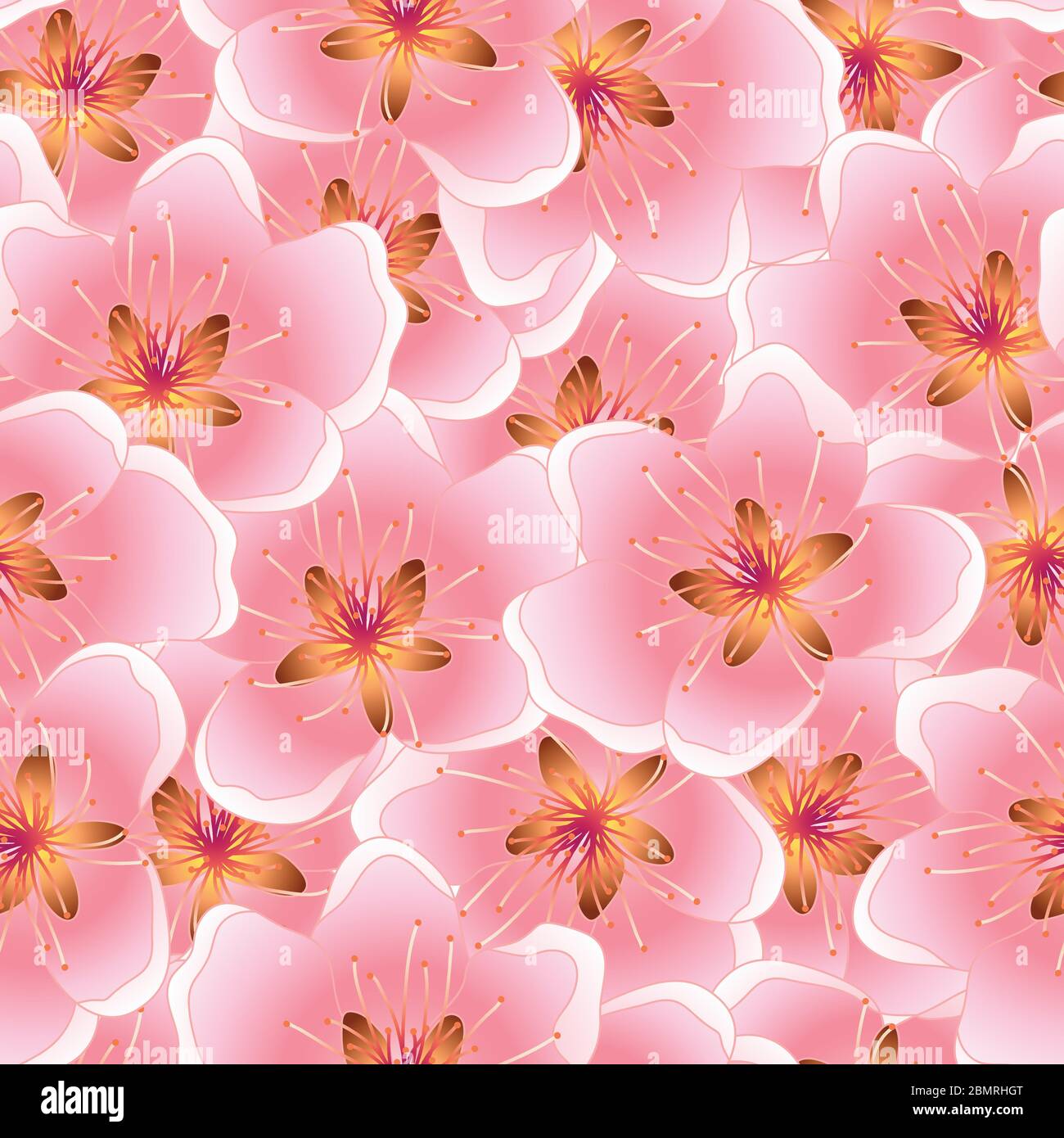 Peach Blossom Seamless Texture Background Vector Illustration Stock ...