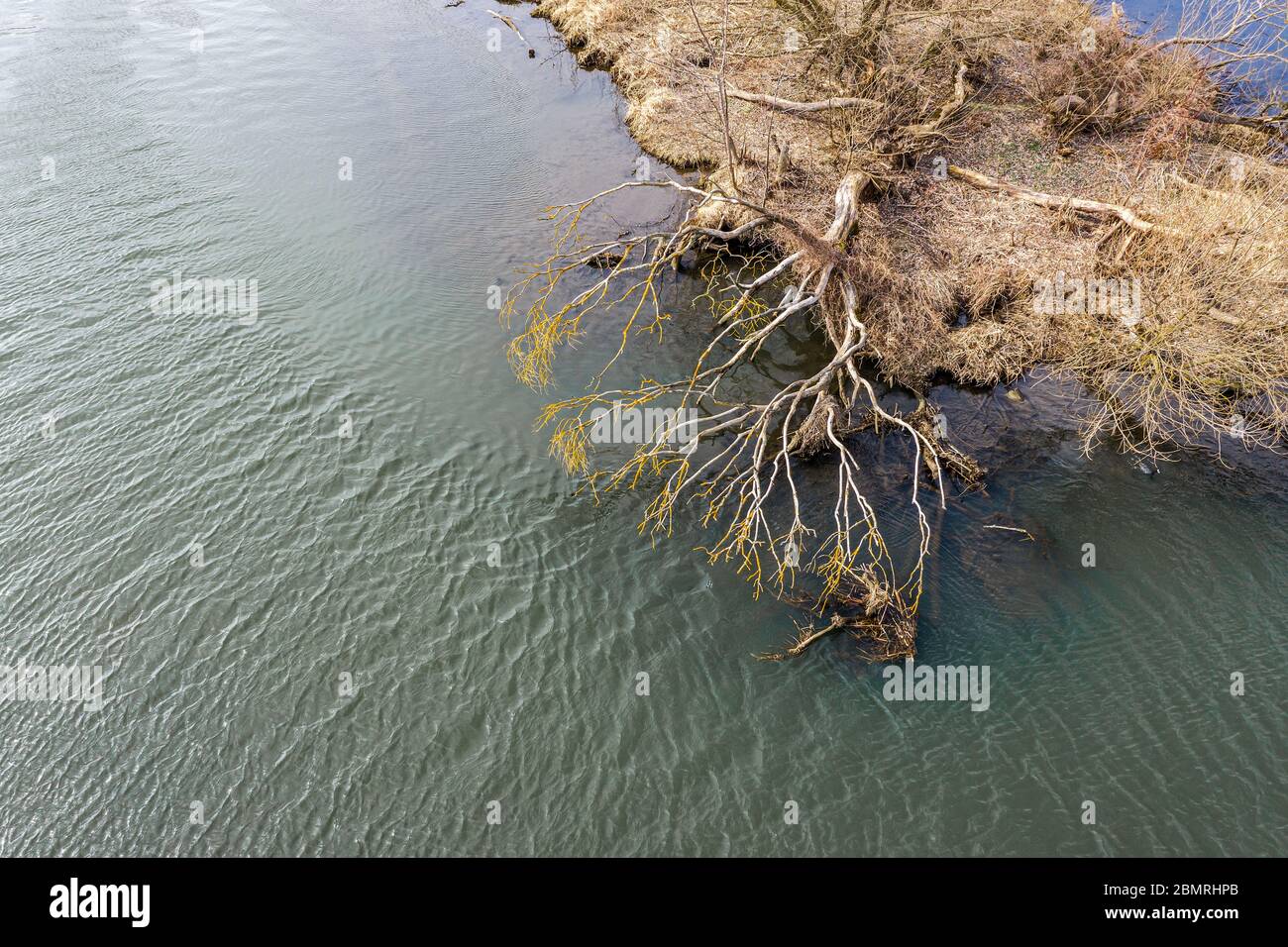 grassy shore of a small island on a river. dried tree was inclined over water. drone photo Stock Photo