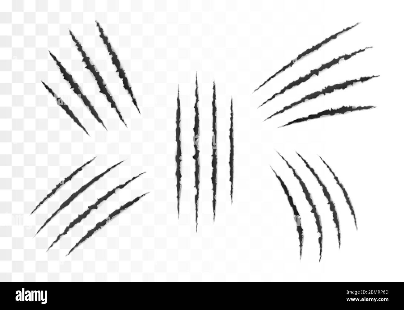 Scratches animal hires stock photography and images Alamy