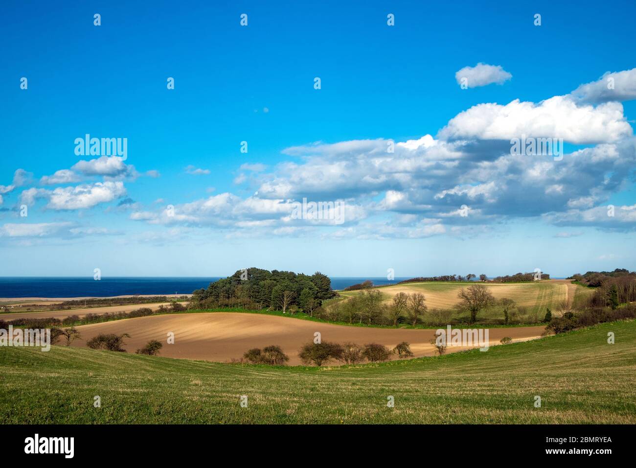 Coastal farmland, Salthouse,Norfolk Stock Photo Alamy