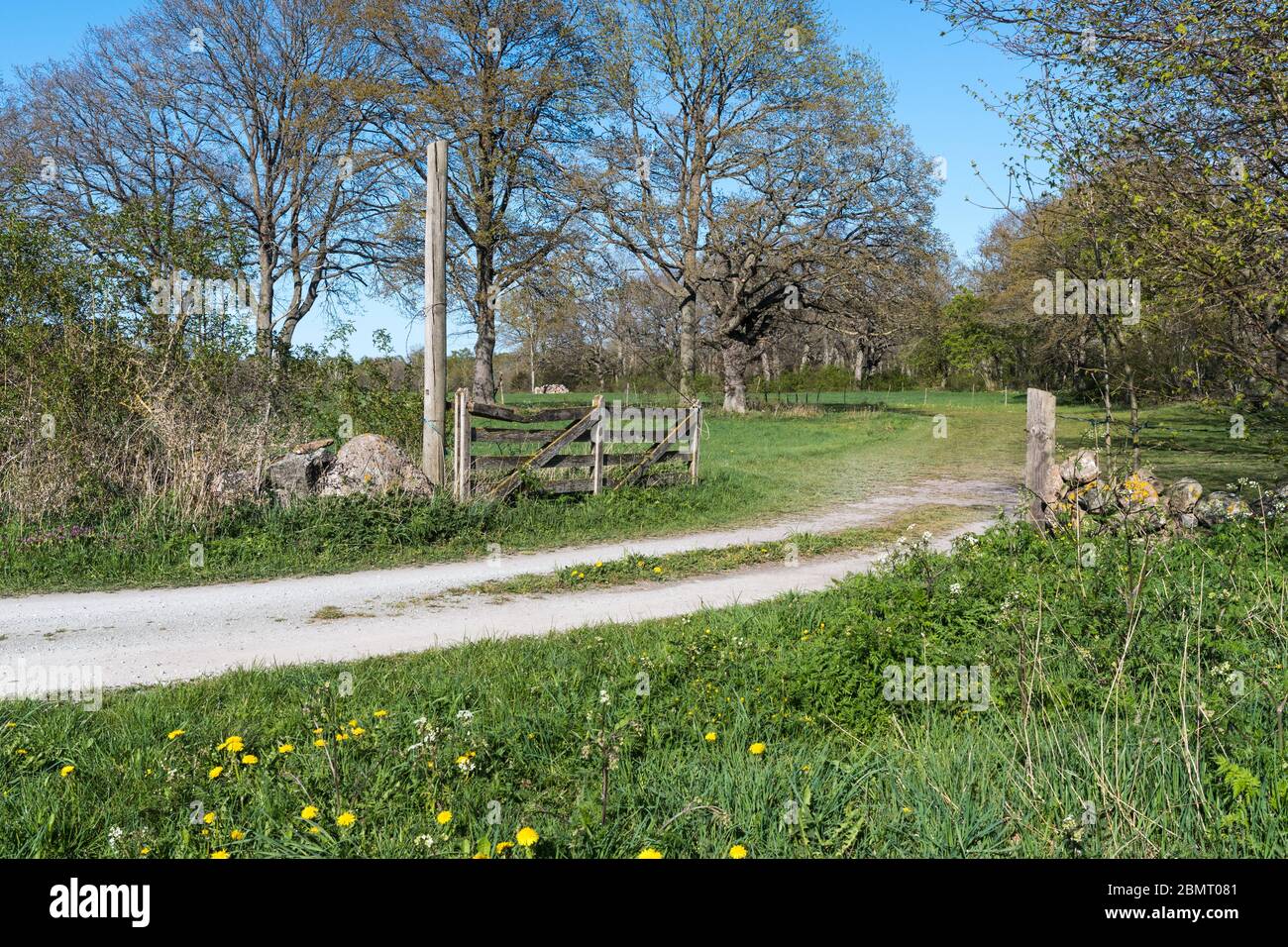 Old wooden gate by a country road in spring season on the swedish island Oland Stock Photo