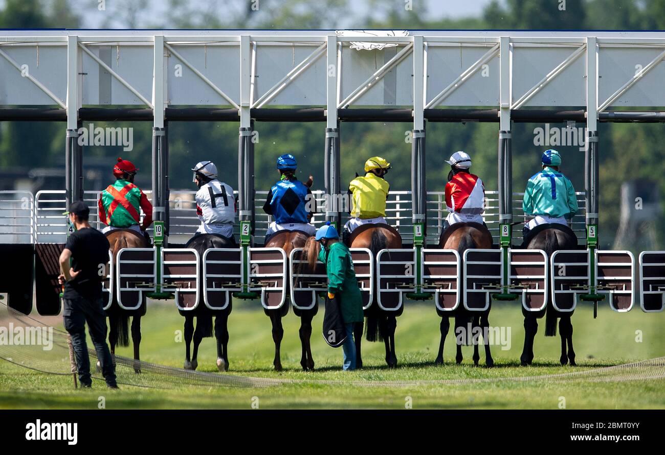 Feature, jockey on your horses in the start box, start, start machine ...