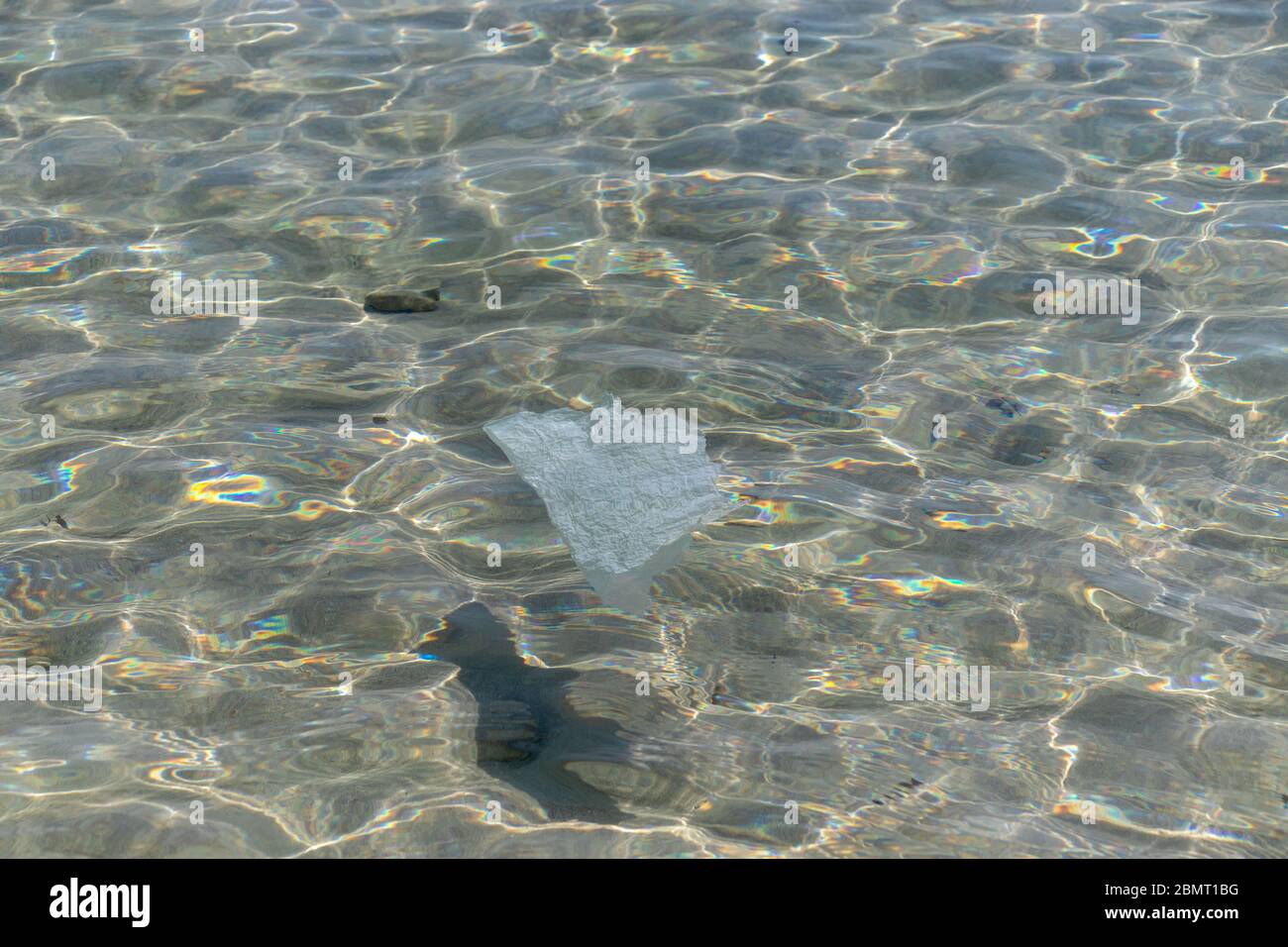 Plastic bags cause pollution and environmental damage to the oceans