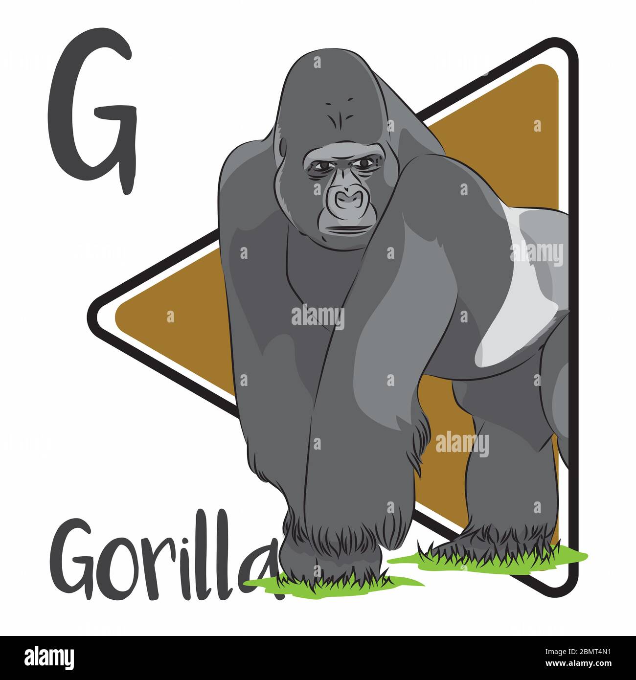 G For The Gorilla An Endangered Big Ape From The African Rain Forest A Group Of Gorilla Usually Lead By A Silverback Gorilla Stock Photo Alamy