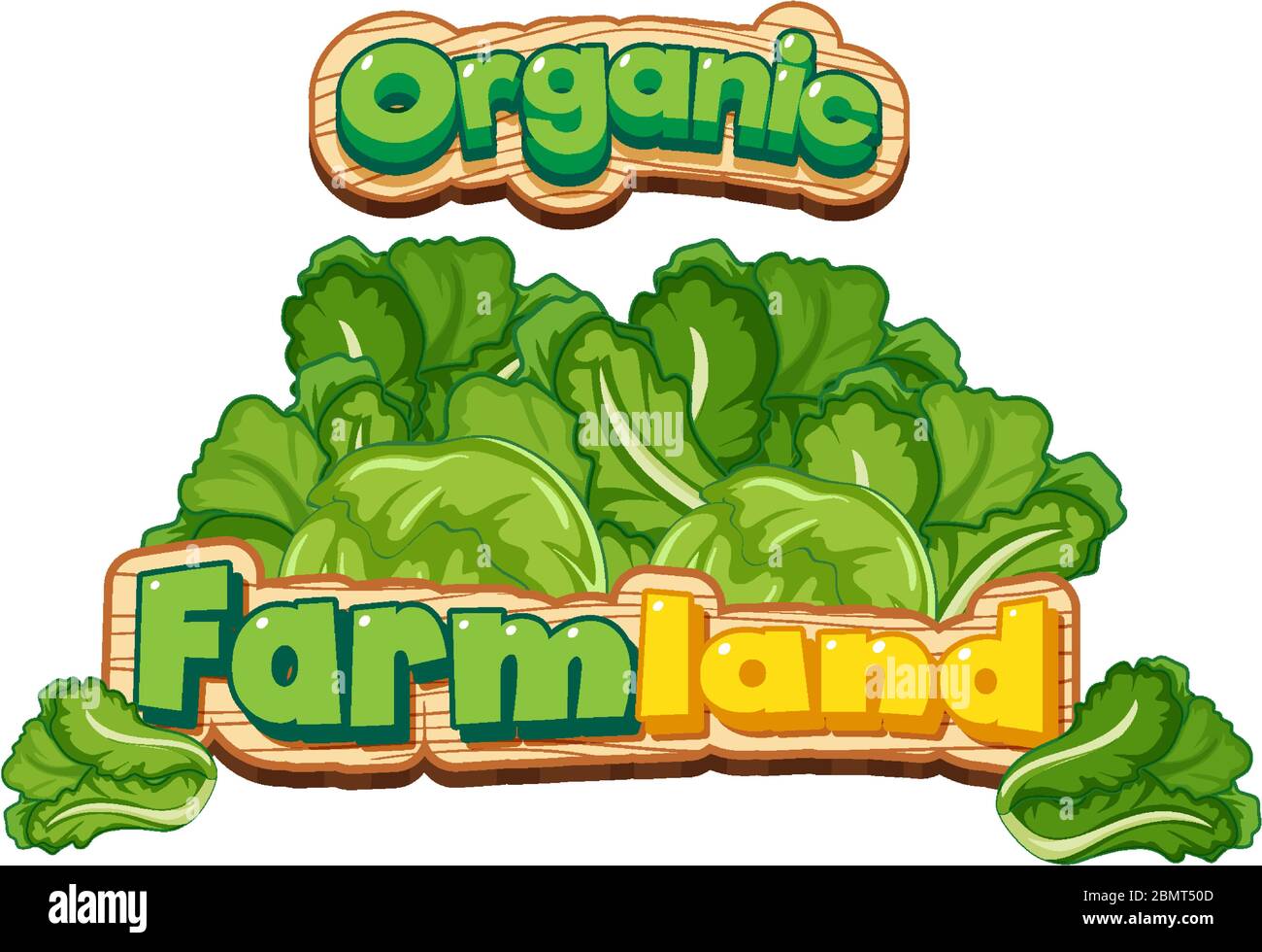 Font design for word organic with fresh cabbages illustration Stock Vector