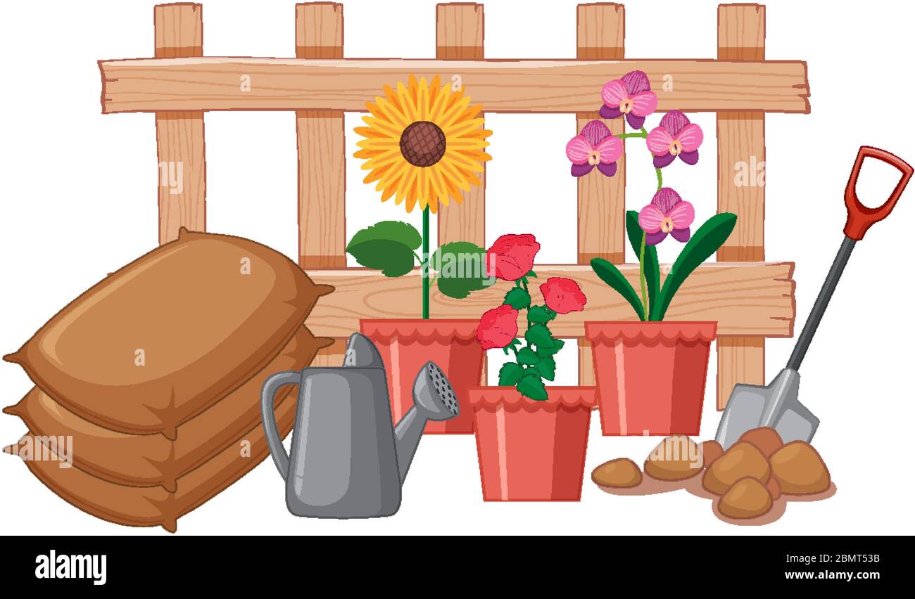 Beautiful flowers in the garden on white background illustration Stock ...