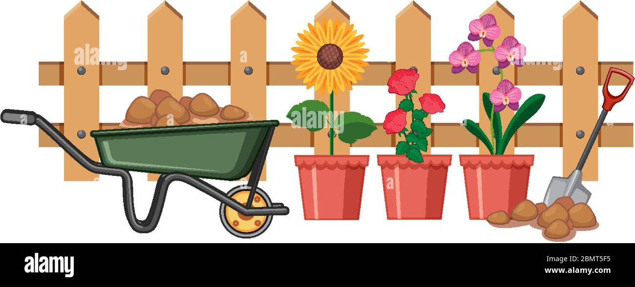 Beautiful flowers in garden on white background illustration Stock ...