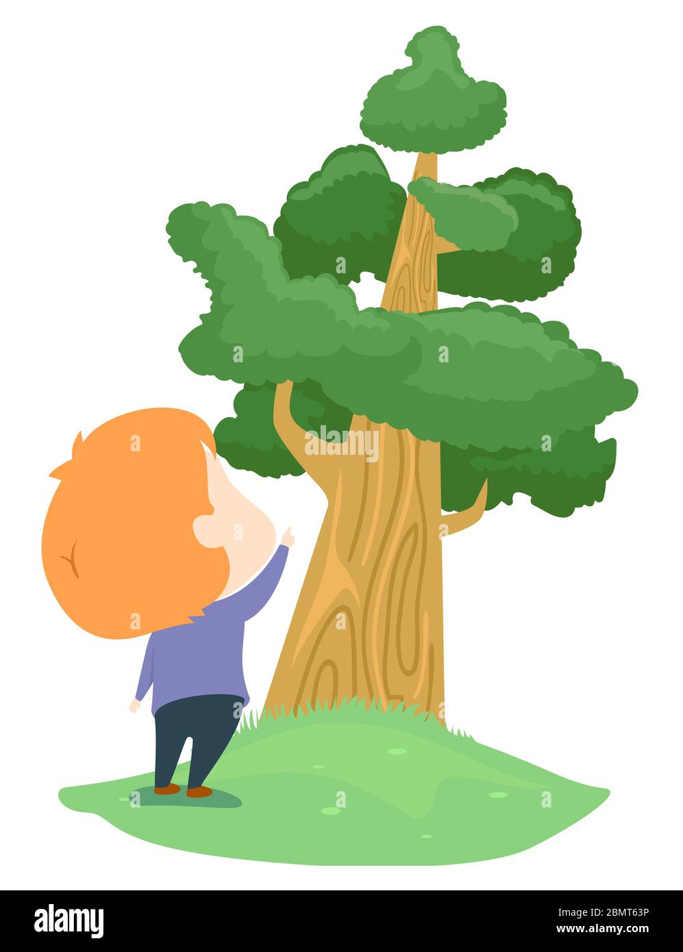Illustration Of A Kid Boy Pointing To A Tall Tree Stock Photo Alamy Illustration Of A Kid Boy Pointing To A Tall Tree Stock Photo Alamy