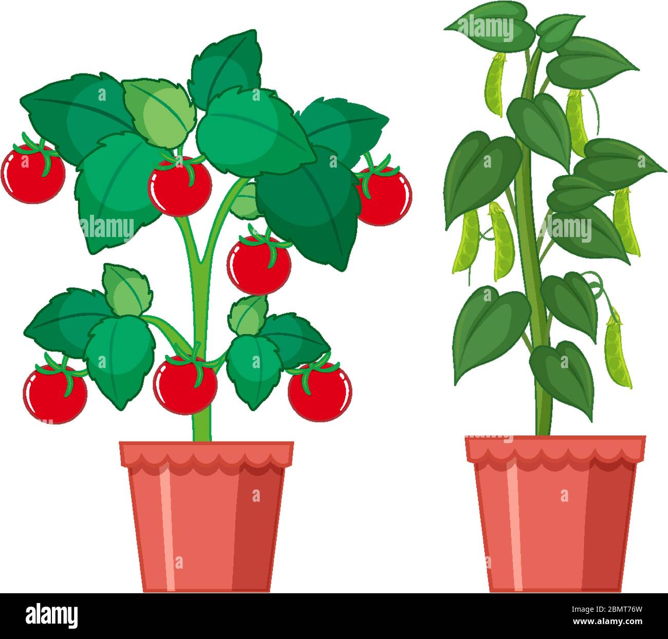 Clay pots outdoor Stock Vector Images Alamy