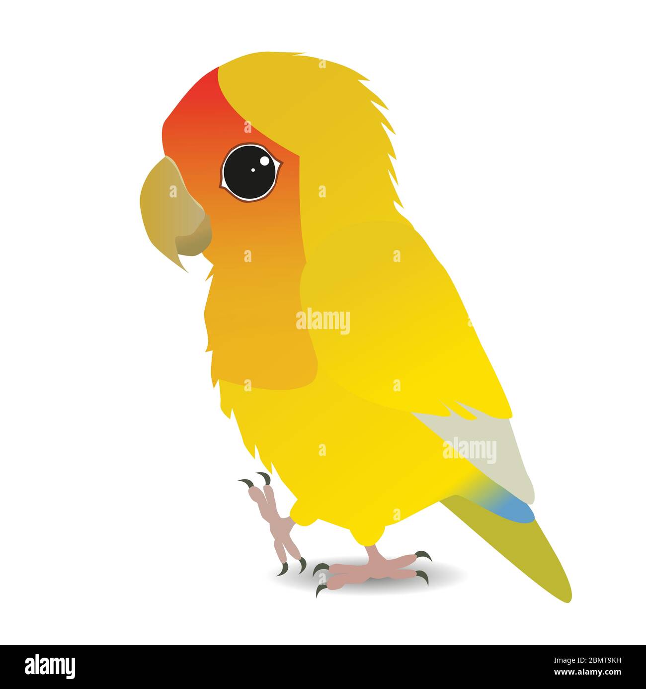 A vector illustration of a cute yellow peach faced lovebird Stock Vector
