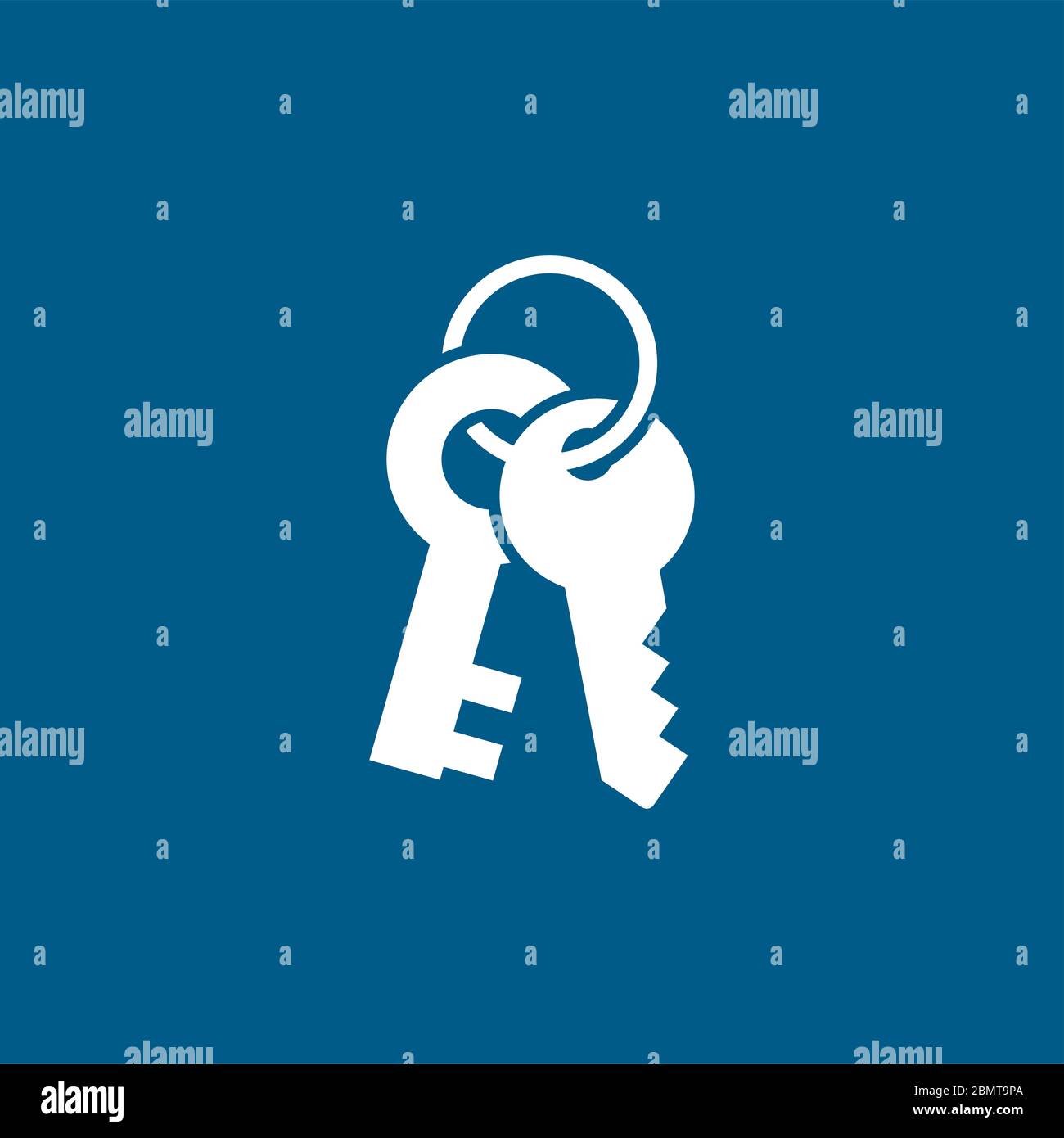 Key Icon On Blue Background. Blue Flat Style Vector Illustration Stock ...