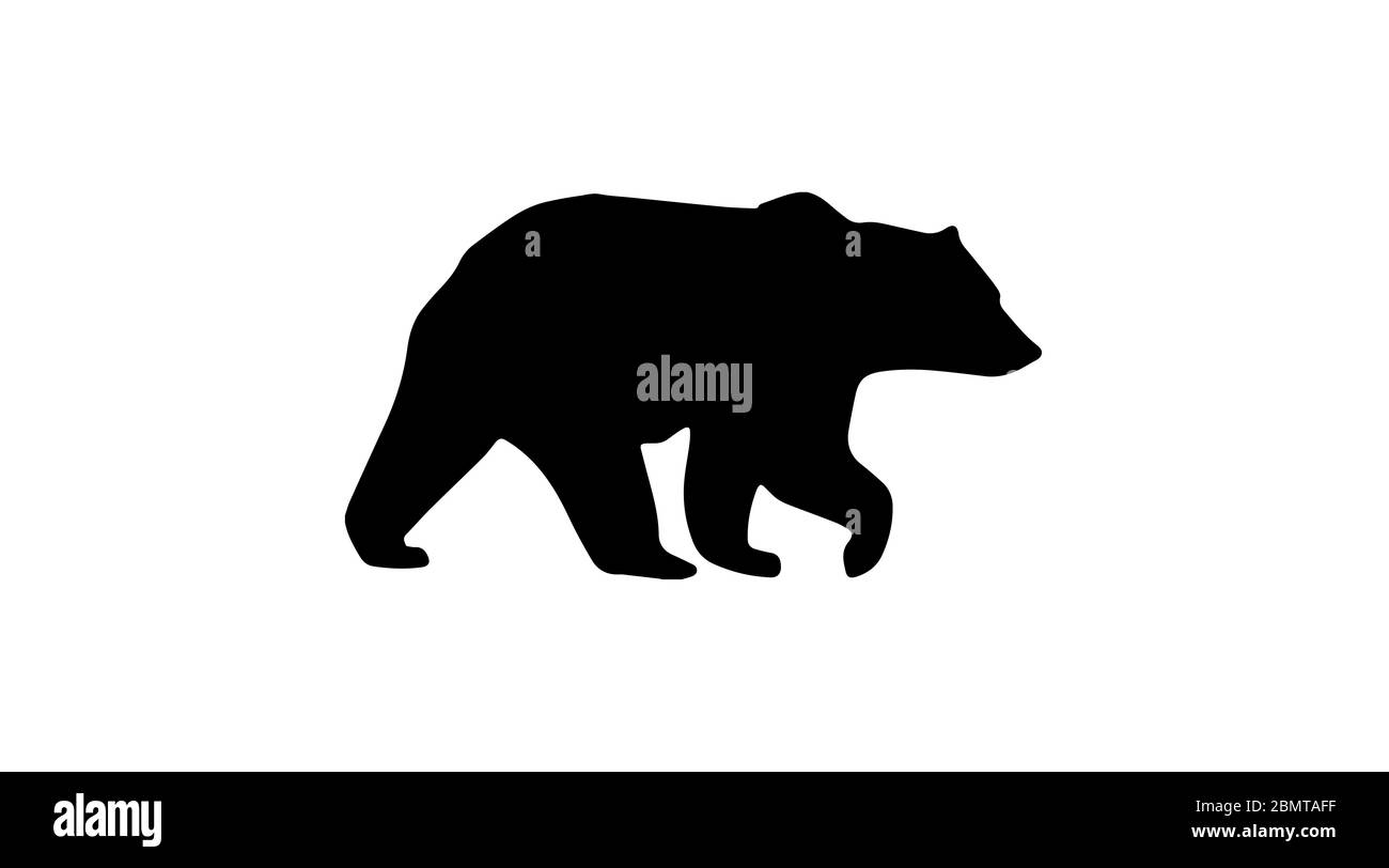 Walking Bear Silhouette White Background Stock Photo