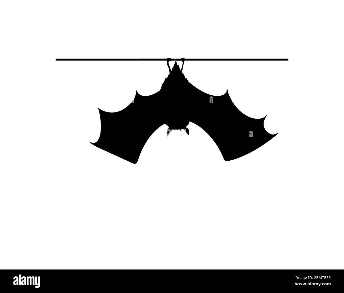 Bat silhouette on white background Stock Photo
