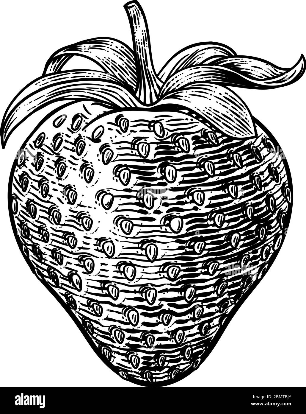 Strawberry Vintage Woodcut Illustration Stock Vector