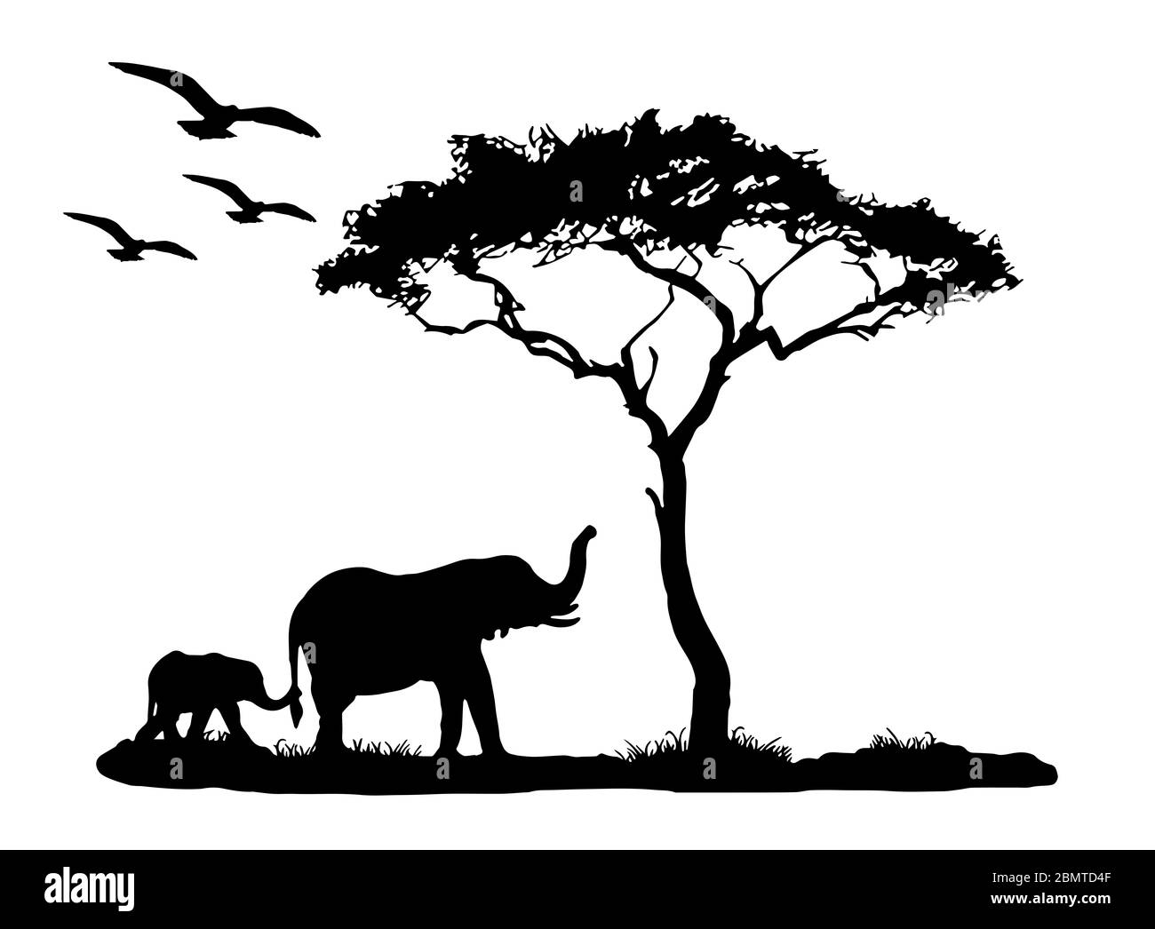 Elephant Silhouette Black And White Stock Photos Images Page 3 Alamy
