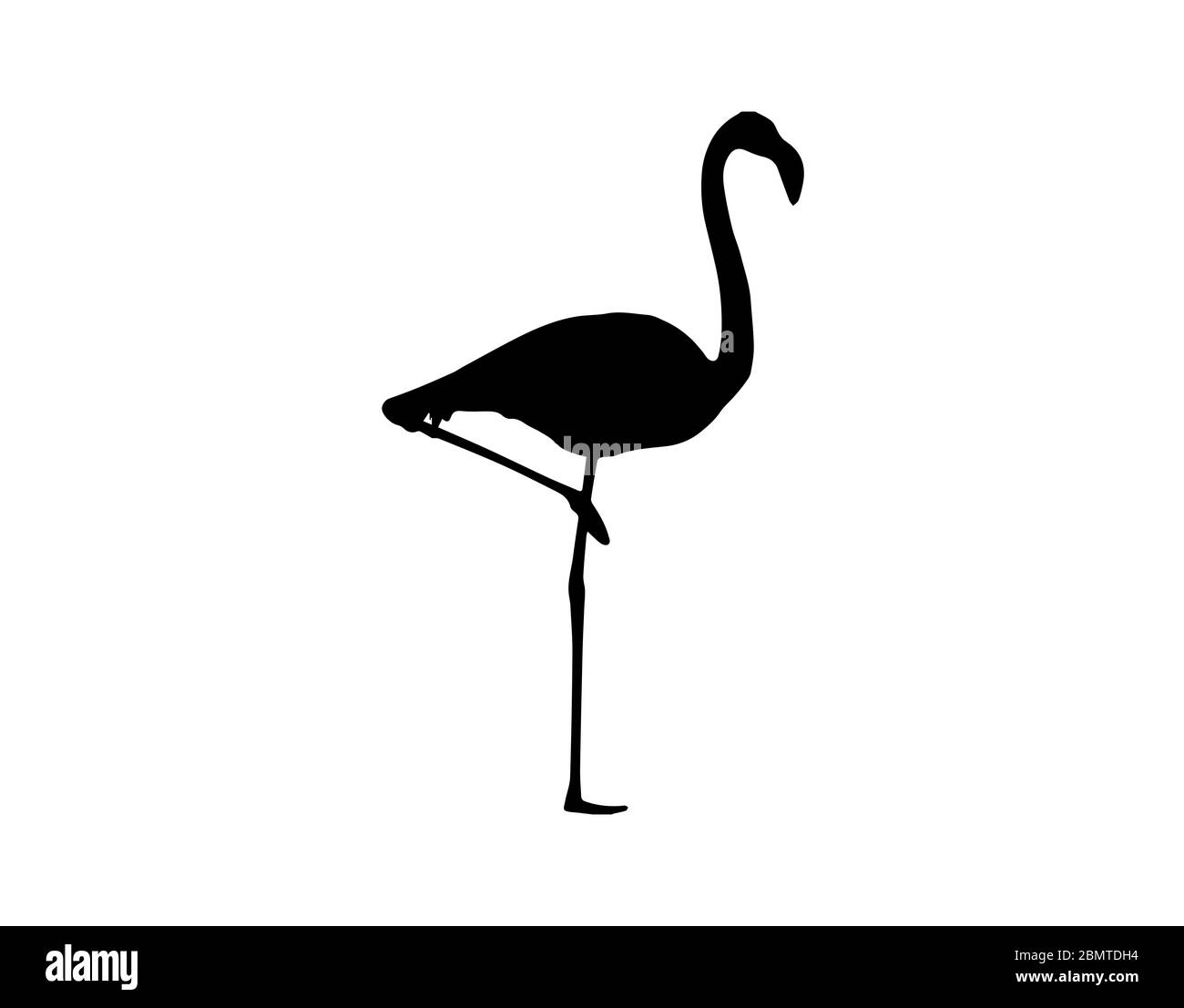 Silhouette of flamingo on white background Stock Photo