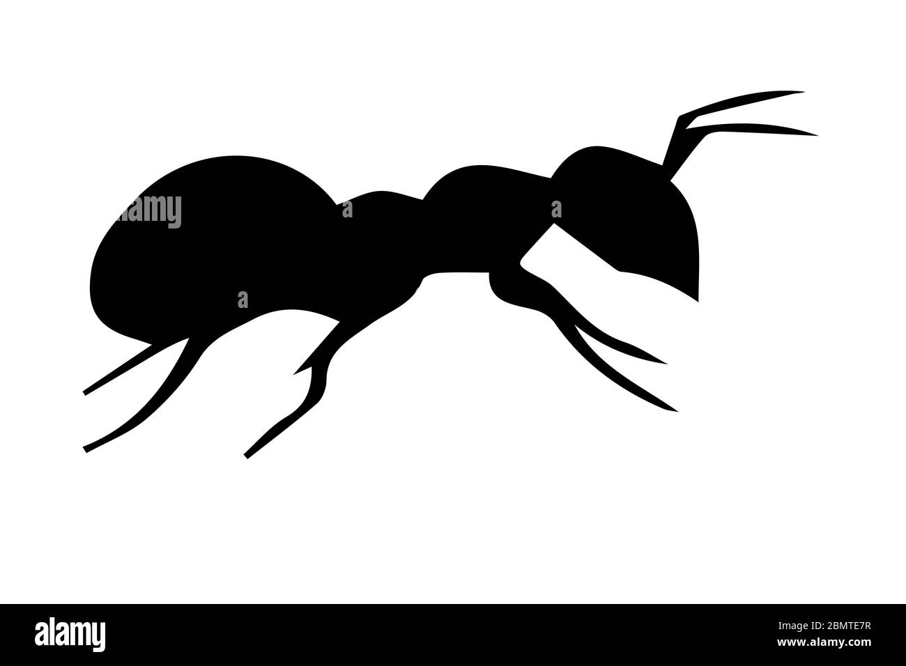 Silhouette of ant on white background Stock Photo
