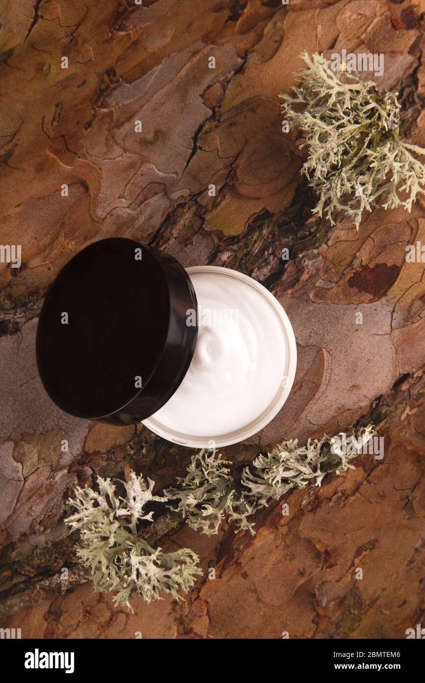 Cream for the face on the bark of a tree. Natural care concept Stock