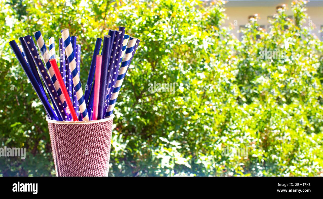 Several multicolored paper cocktail tubes in paper cup with green trees background Stock Photo