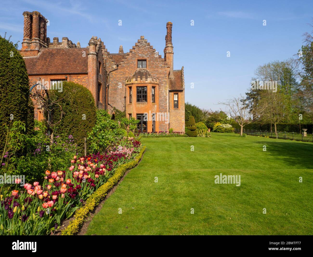 Chenies Manor House from the rose garden at tulip time. Lawn, box bush border, Antraciet and Apricot Foxx Tulips. Burgundies and pastel apricot pinks. Stock Photo