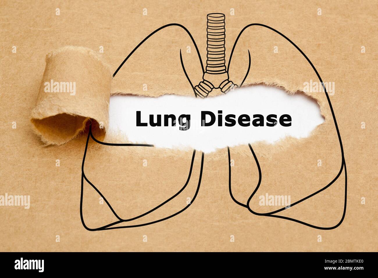 Text Lung Disease appearing behind ripped brown paper in human lungs drawing. Concept about different respiratory system illnesses. Stock Photo