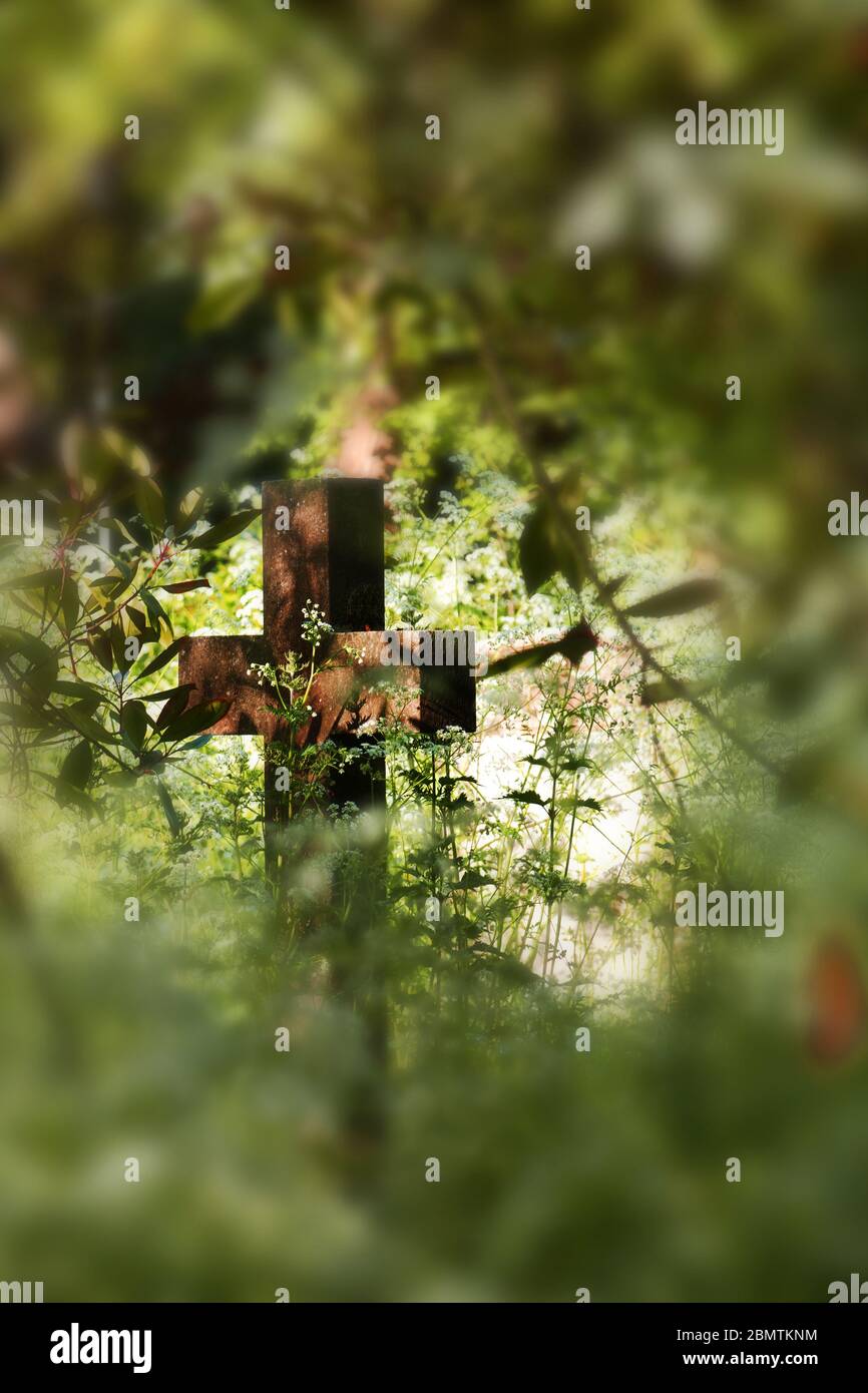 Old stone cross or crucifix in a graveyard with wild flowers. Copy space, vertical. Stock Photo