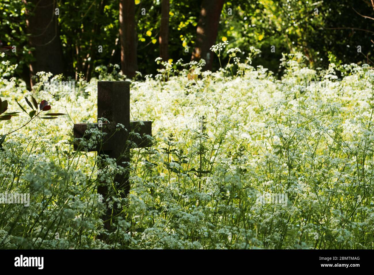 Old stone cross or crucifix in a graveyard with wild flowers. Copy space. Stock Photo