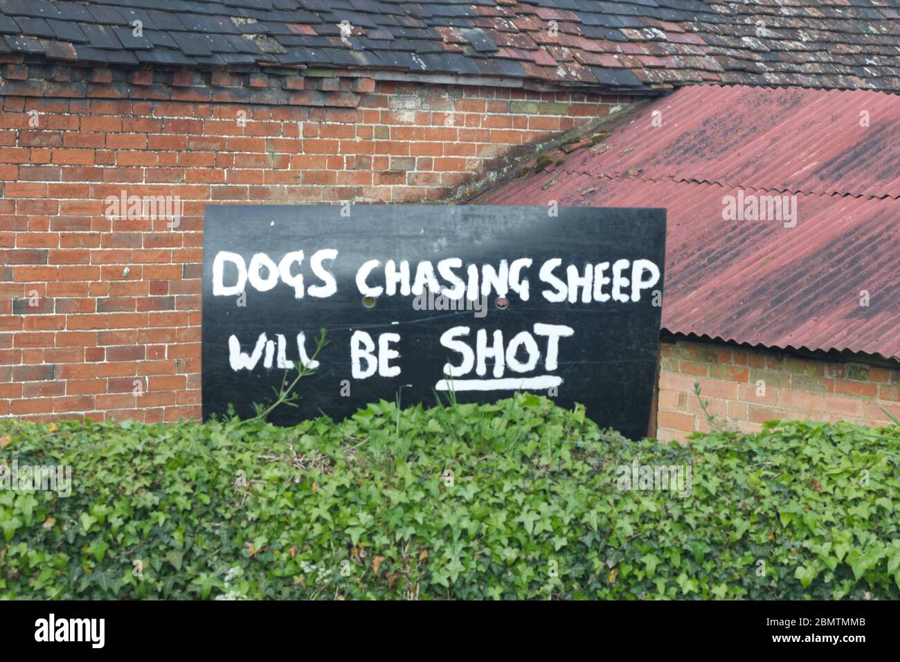 dicks lane, dogs chasing sheep will be shot sign Stock Photo