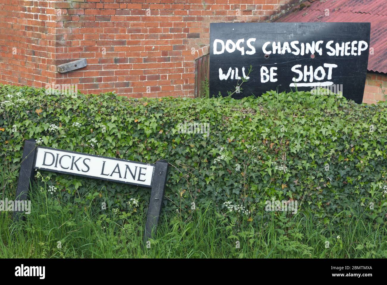 dicks lane, dogs chasing sheep will be shot sign Stock Photo