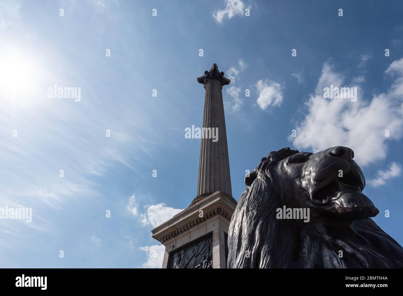 Nelson's Column and Lion Statue, Trafalgar Square, London, UK Stock Photo