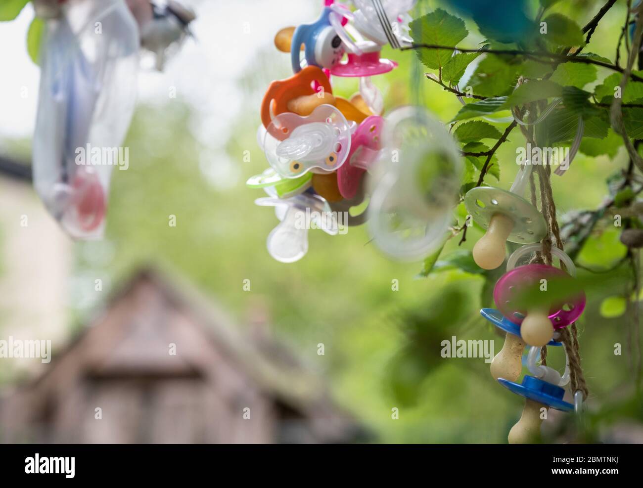 Soother tree top