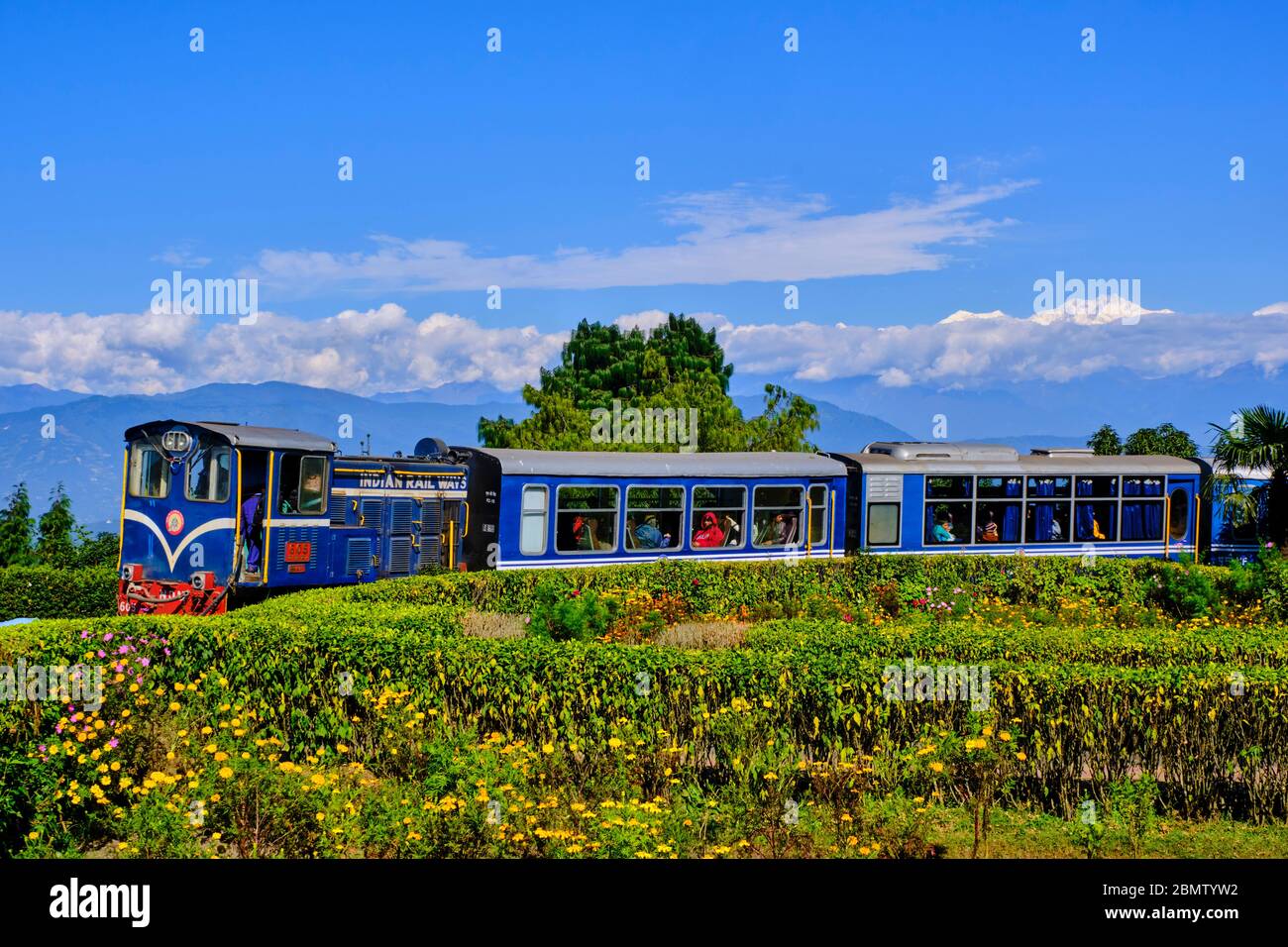 India, West Bengal, Darjeeling, the toy train from Darjeeling Himalayan