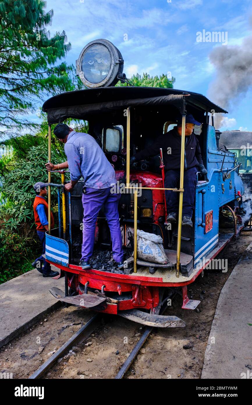 India, West Bengal, Darjeeling, the toy train from Darjeeling Himalayan