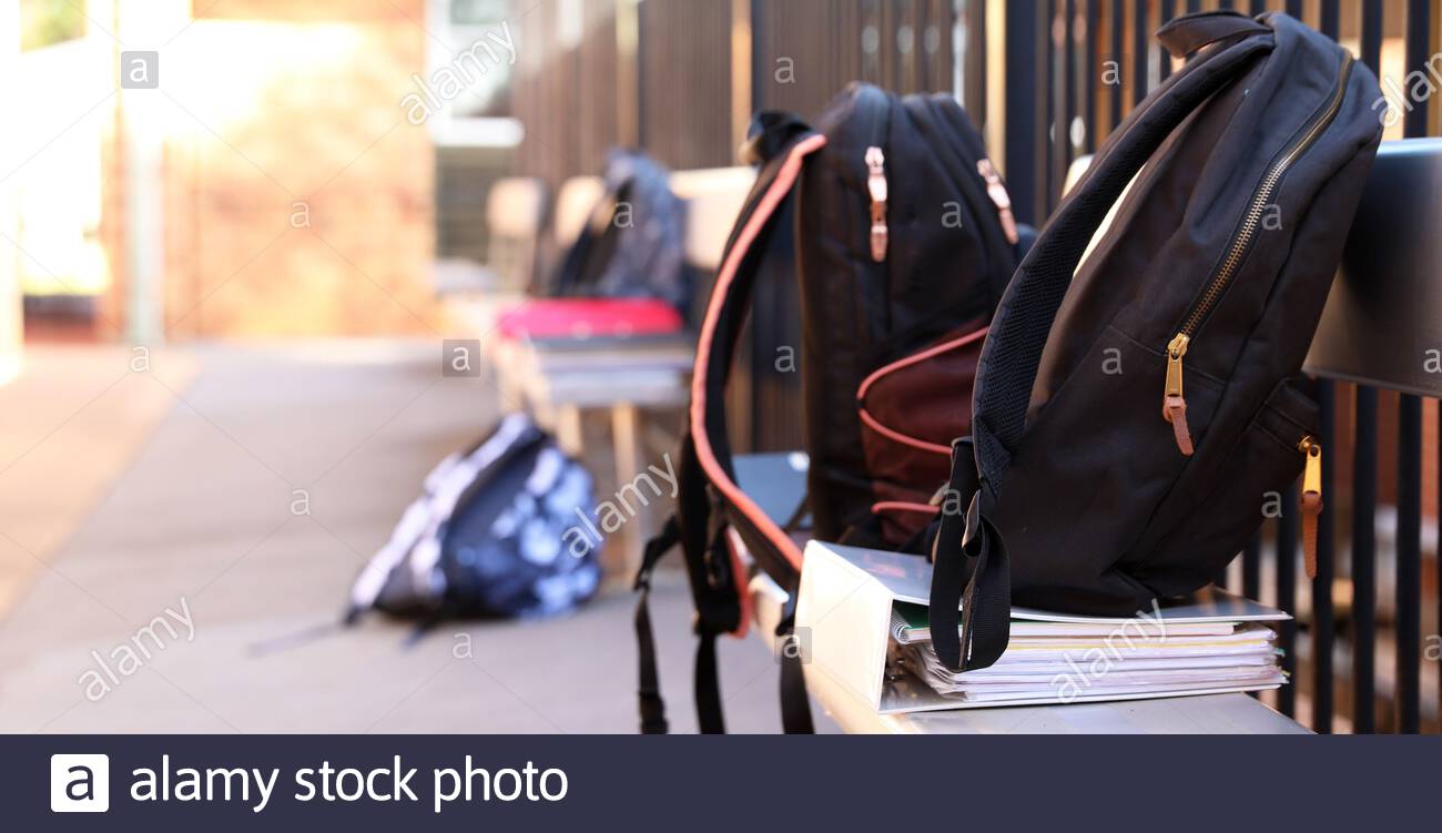 binder bags for school