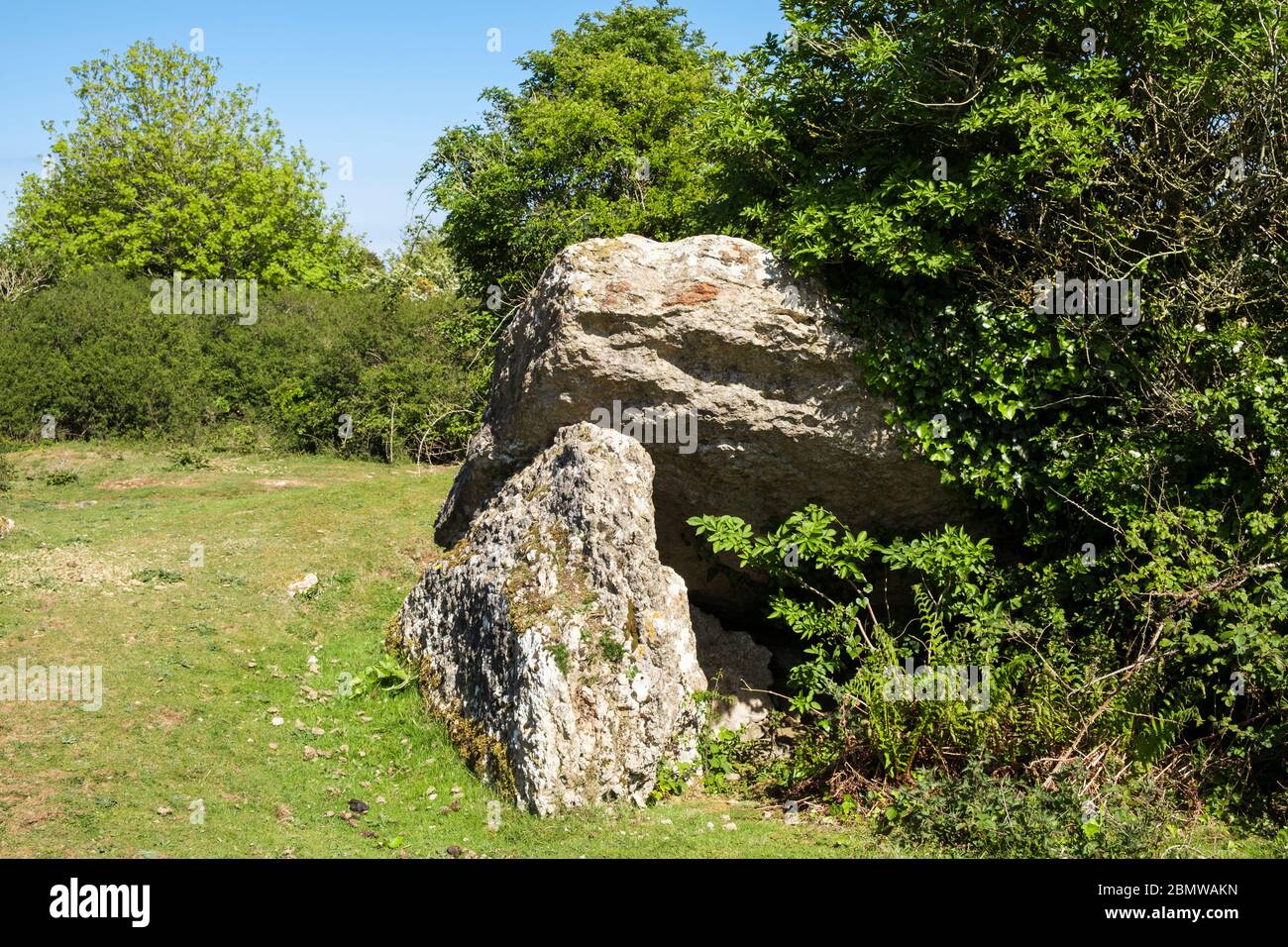 Pant-y-Saer Neolithic dolmen burial chamber tomb with capston partially collapsed and becoming overgrown. Tyn-y-Gongl, Benllech, Anglesey, Wales, UK Stock Photo