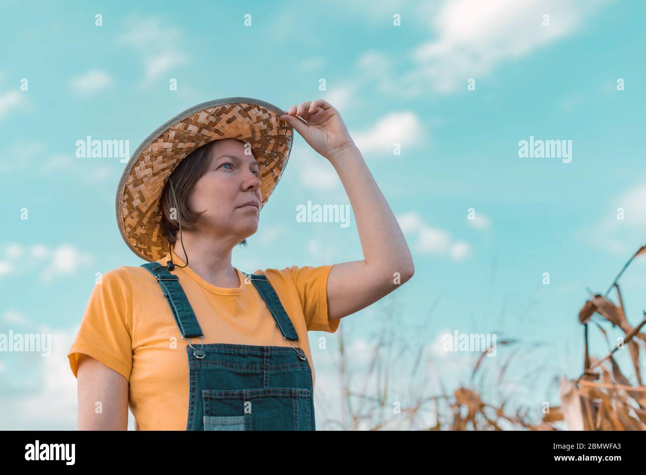 Female corn farmer looking over cornfield, portrait of woman agronomist with straw hat and jeans bib overalls Stock Photo