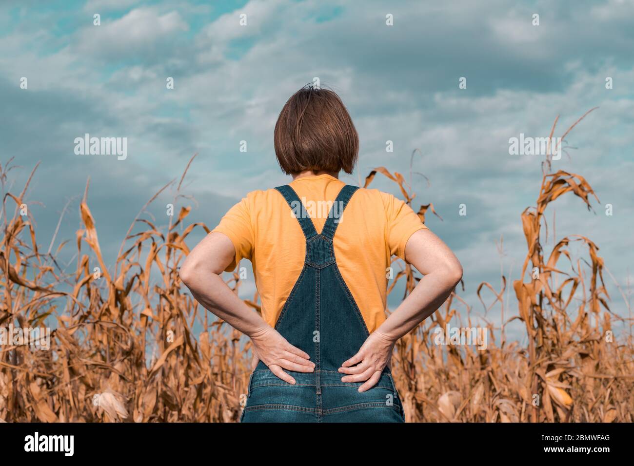 Rear view of corn farmer with bib overalls looking over proudly at her ripe cornfield before harvest Stock Photo