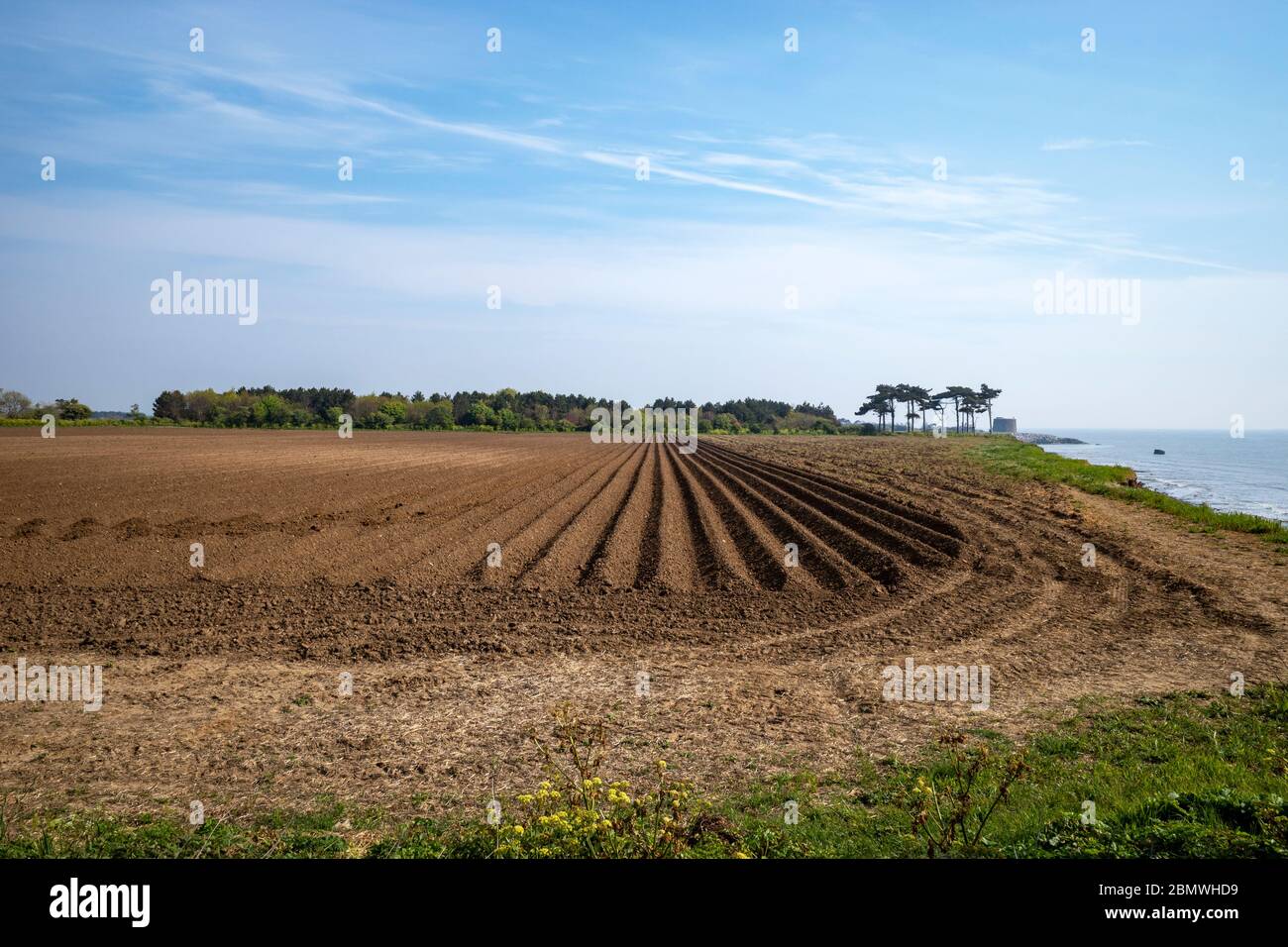 Agricultural land effected by coastal erosion, Bawdsey, Suffolk, UK. Stock Photo