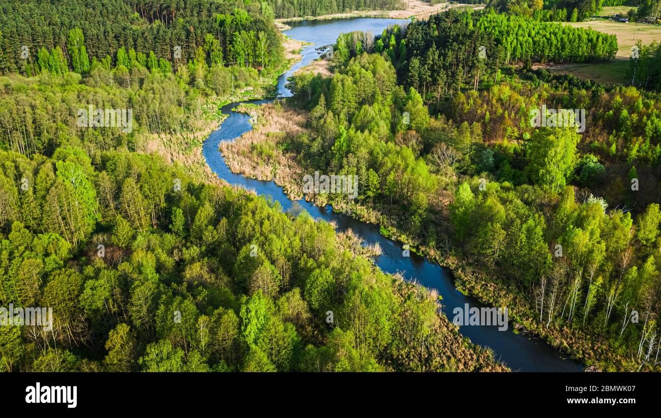 Aerial view of green forest and river in summer Stock Photo - Alamy