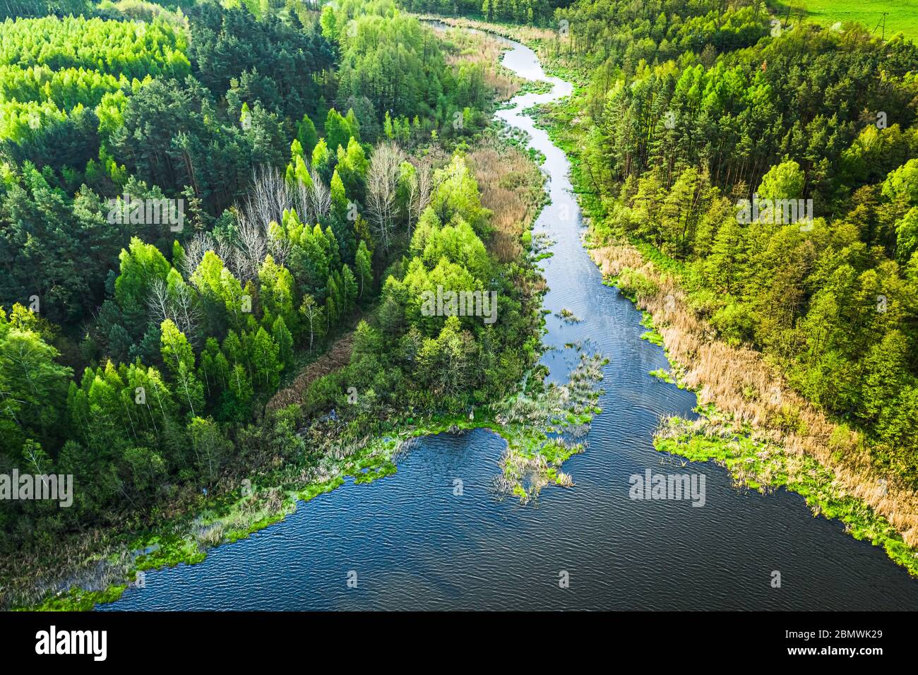 Aerial blue lake green forest hi-res stock photography and images - Alamy