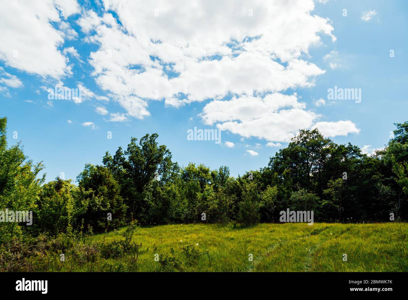 forest green blue sky and clouds its beautiful Stock Photo - Alamy