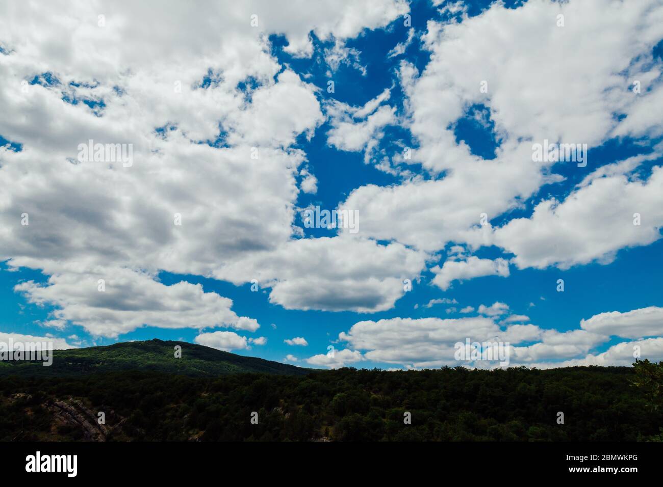 green forest of blue sky and white clouds Stock Photo - Alamy