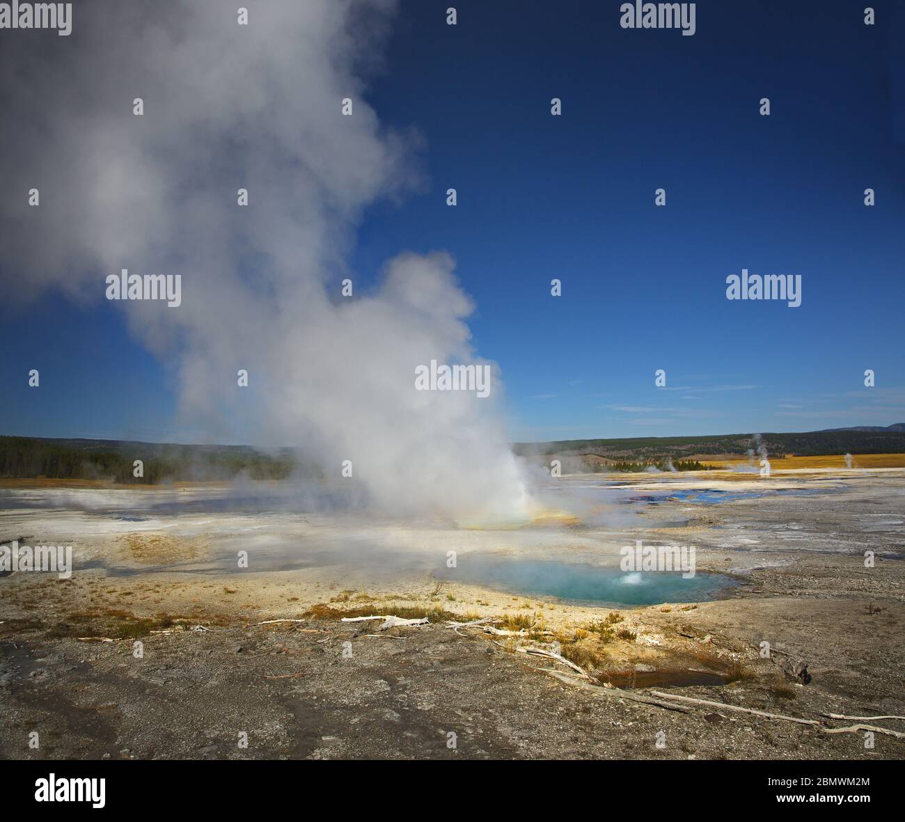 A geyser in Yellowstone national park, Montana, USA Stock Photo